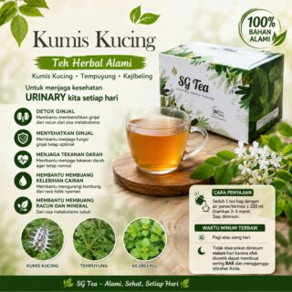 Kumis kucing w