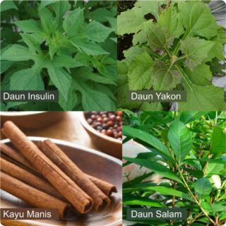 Herbal Antidiabets